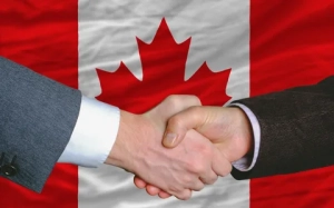 Why Canadians Are Flocking to Buy Investment Properties in Tampa