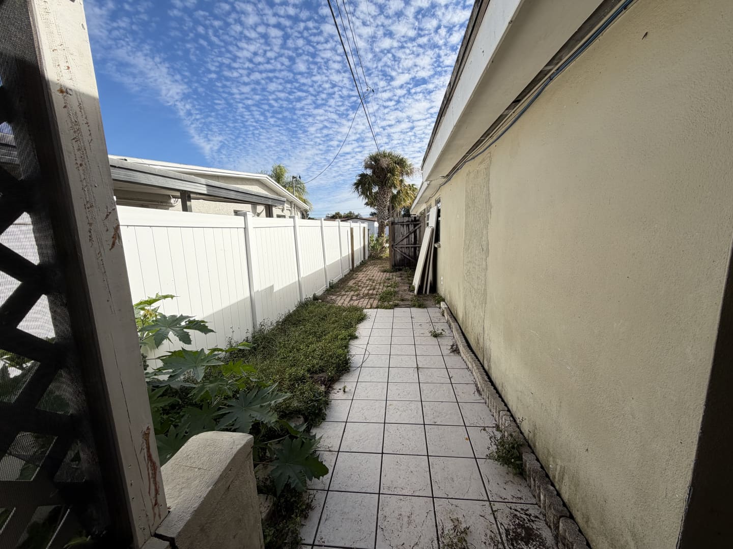 141654-7ffe582b8c1b4d4ea7ce09be77aab5f0