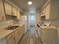 2787 Landover Blvd, Spring Hill, FL 34608 - Graystone Investment Group 2787 Landover Blvd, Spring Hill, FL 34608